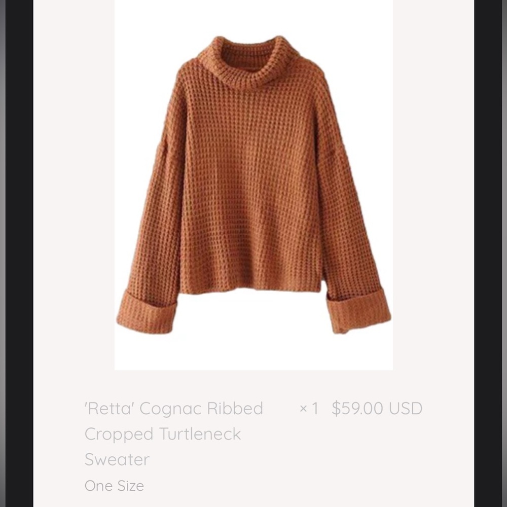 Goodnight Macaroon Cowl Turtleneck Chunky Sweater